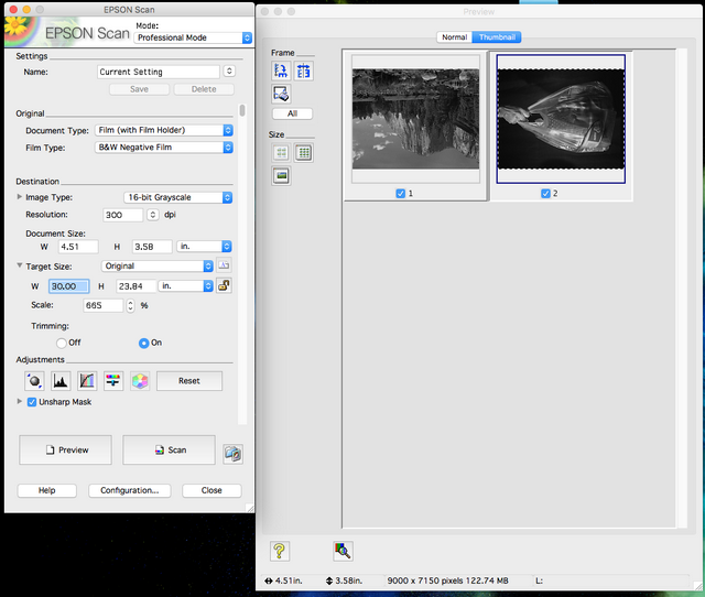 Scanning Film Negatives